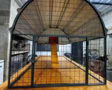 Gallinero Móvil Prefabricado para 10-12 Gallinas