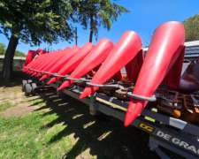 Maicero de Grande 14 a 52. año 2019