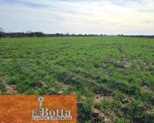 En Alquiler Establecimiento Agropecuario en Fraga, San Luis