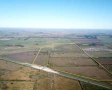 140 Has. Campo Sobre Ruta 6, Cañuelas - las Heras