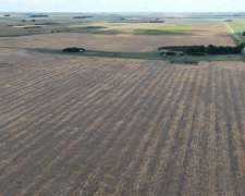 700 Hectáreas Pehuenco, BS. AS.