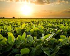 120 Ha Agrícolas. Excelente Campo. Zona Gualeguay.