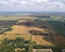 Excelente Campo de 101 Has 100% Agrícola en Alsina. BS AS.