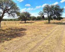 Excelente Campo Ganadero 11000 Bagual San Luis