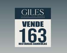 Campo Agrícola 163 Hectáreas Suelo Urquiza 1
