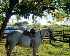Campo Ganadero 2780 Has Gral San Martin a 23 KM.