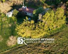 Campo De 24 Hectáreas En Colón