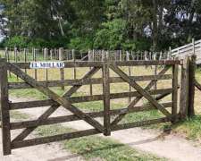 Campo 1104 Has Ganaderas en Castelli Provincia de Buenos AIR