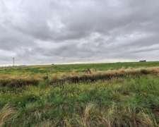 500 Has Mixtas Partido de Puan