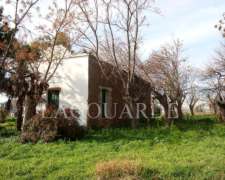 32 Hectareas Arroyo de la Cruz