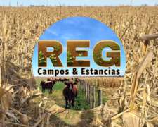 1000 Hectareas en Alta Italia, L.p.