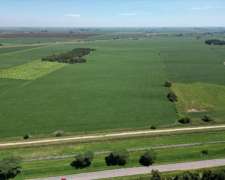 20 Has Agricolas en Oliveros. Suelo Clase 1 - IP 82%.