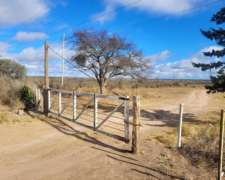 Campo Sobre Ruta -LA Toma - San Luis