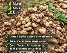 Alquiler Maní Soja Maíz