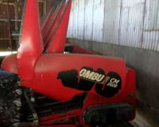 Maicero Ombu de 16 a 52