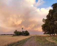 60 Has. Carhue, Pdo. Adolfo Alsina