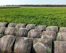 150 Has Mixtas en Clason