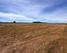 80 Has Agricolas En Baradero