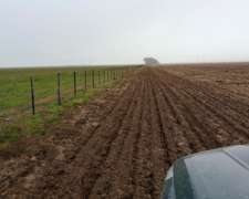 220 Ha Cabildo, Tornquist