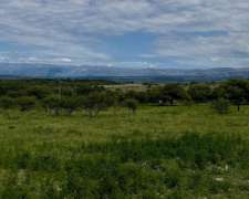 Calamuchita (cba) con Río. Pinares . LUZ . Asfalto