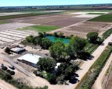 Vende Finca De 100 Hectáreas - 3 Perforaciones – Los Álamos