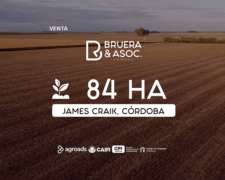 Campo 84 Hectáreas - James Craik