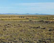El Caín, 25 De Mayo, Rio Negro - 10.595 Ha