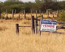 Campo Ganadero para Armar 100 Has Sobre Ruta 4 - Quitilipi