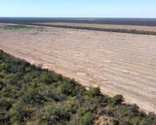 1000 Has. en Directa Sobre Pavimento.