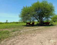 Oportunidad Campo Mixto - 1400has Pirane, Formosa