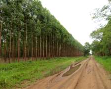 Villa Olivari - 4775 Ha - Corrientes