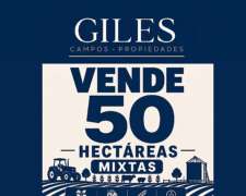 Campo Mixto de 50 Hectáreas San Nicolás