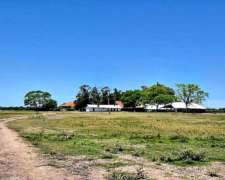 1100 Has Villa Guillermina- STA FE - Venta