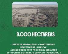 Tradicional Estancia