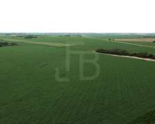 32 Has Agrícolas Lozada, Cordoba