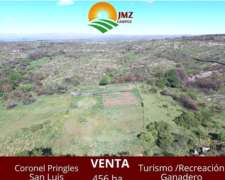 Coronel Pringles -456 HA- San Luis