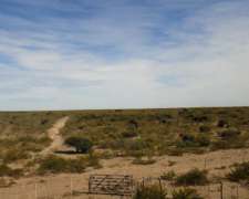 11.286 Has. Curaco - la Pampa