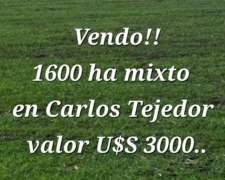 Carlos Tejedor Provincia de Buenos Aires