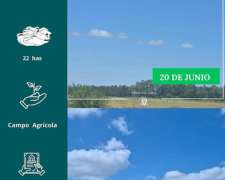 Campo en 20 de Junio 22 Has