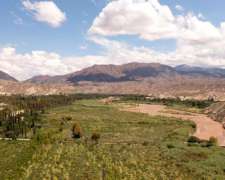 Pcia. de Salta - Angastaco 26 Has