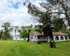 177 Hectáreas Sobre Ruta N°5 – Suipacha (bs. As.)