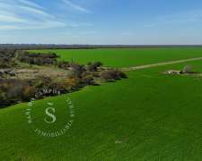 Campo Mixto. 3341 Ha. Santa Fe.