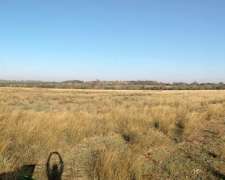 122 Ha Lucas Gonzalez. Superficie Agrícola