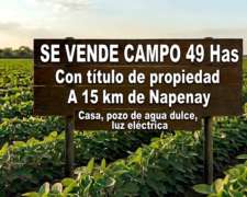 Campo en Venta 49 Has