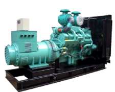 Grupo Electrogeno Cud1000