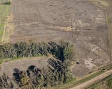 47 Hectáreas Agrícola Santa Lucía San Pedro