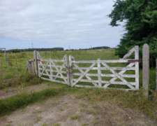 Campo Punta Indio, 62 HA. Mixtas, Sobre Ruta36.
