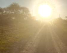 705 Has de Isla Gualeguay Entre Ríos