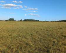 Campo Agricola 97 Hectareas