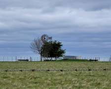 225 HA. Agrícola - Ganadero. Colón, Entre Ríos.